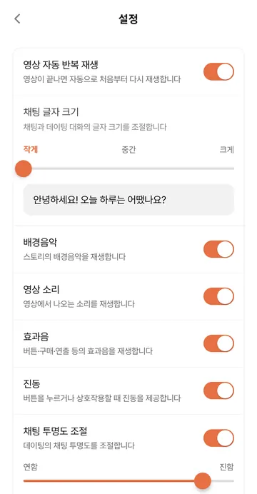 채팅 글자 크기·영상·소리·투명도 설정